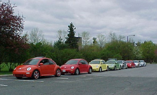 Lined up at the park